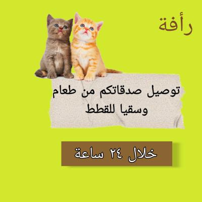 صحن كبير يكفي ٨ الى ١٠ قطط