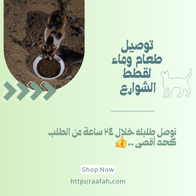 صحن وسط يكفي ٥ قطط 